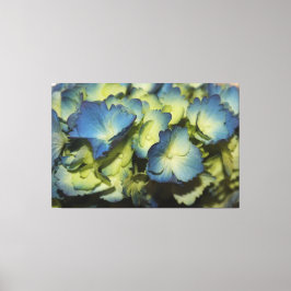 Lienzo de diseño floral azul