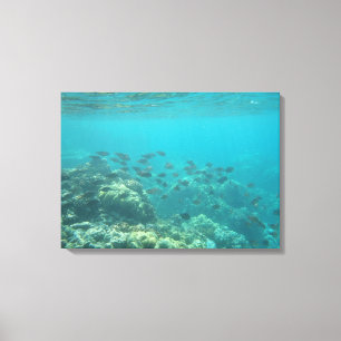 Lienzo de escena de peces tropicales subacuáticos