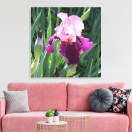 Lienzo de flor de iris rosa con un beso solar