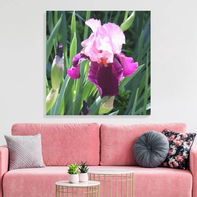 Lienzo de flor de iris rosa con un beso solar (Insitu (Sala de estar))