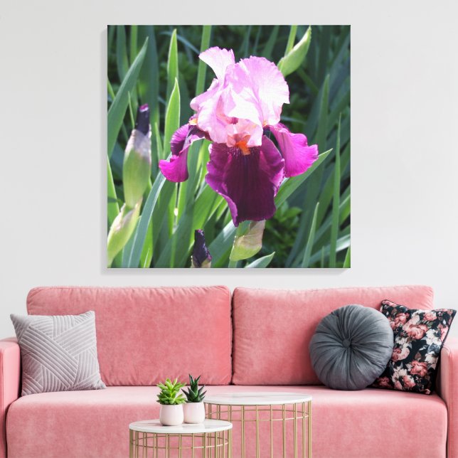 Lienzo de flor de iris rosa con un beso solar (Insitu (Sala de estar))