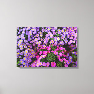 Lienzo de flor de Mamá rosa morado azul