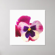 Lienzo de foto de flor de pensamiento rosa y púrpu