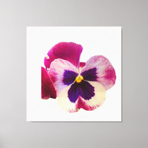 Lienzo de foto de flor de pensamiento rosa y púrpu