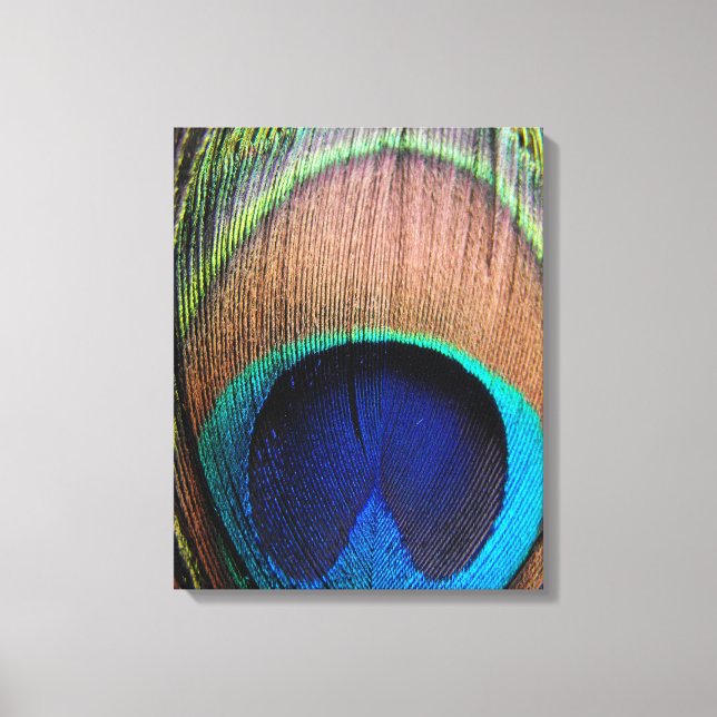 Lienzo de fotos de fondo de plumas de pavo real (Anverso)
