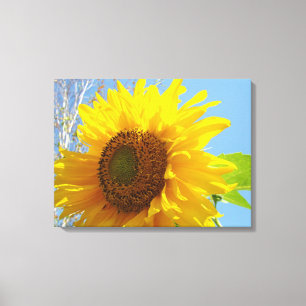 Lienzo de girasol amarillo Fotografía Arte fino