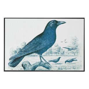 Lienzo De Imitación Aves. Black Crow Wall Art