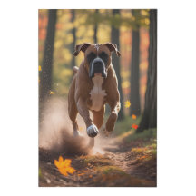 Boxer Canvas Wall Art