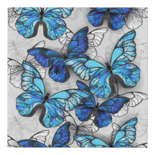 Lienzo De Imitación Composición de las mariposas blancas y azules