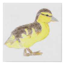 Cute Duckling