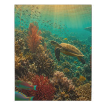 Espectacular arrecife de coral vivo bajo el agua F