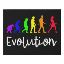 Evolución