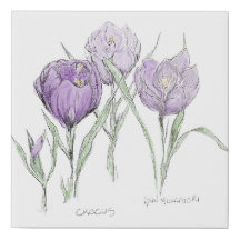 Flores de primavera - Crocus