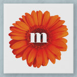 Lienzo De Imitación Gerbera Daisy Monograma Inicial<br><div class="desc">Flor de margarita gerbera naranja quemada con diseño inicial de monograma moderno de tipografía funda inferior. Cambiar el inicial a personalizar.</div>