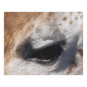 LIENZO DE IMITACIÓN GIRAFFE