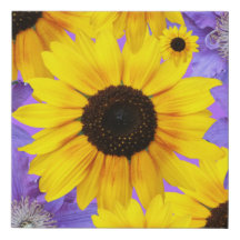 Girasol amarillo colorido y morado floral