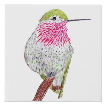 Hummingbird