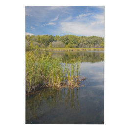 Lienzo De Imitación Lago Grassy