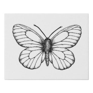 Lienzo De Imitación Mariposa blanca