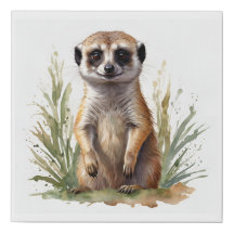 Meerkat de bebé lindo, acuarela sobre
