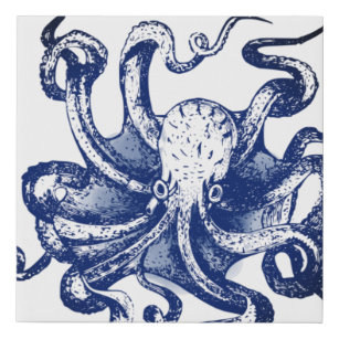 Lienzo De Imitación Octopus azul