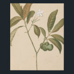 Lienzo De Imitación Panel de deco de cobalto I<br><div class="desc">Panel de cobalto deco I de Chariklia Zarris</div>