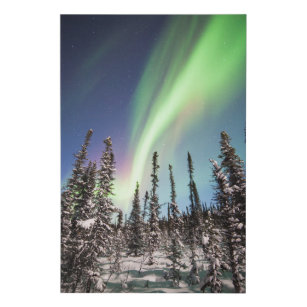 Lienzo De Imitación Parque nacional de la aurora boreal el   Denali