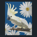 Lienzo De Imitación Parrot Cockatoo y Pájaro estilo pop azul de la flo<br><div class="desc">¡Esta Cockatoo está muy emocionada por el clima soleado de primavera! Con una abundancia de alegres flores de margarita en un campo de azul clásico, esta impresión de arte de tela representa la exuberancia de estos loros blancos australianos populares por su inteligencia y su personalidad lúdica. Trae su entusiasmo y...</div>