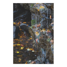 Pequeña cascada sobre rocas