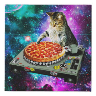 Lienzo De Imitación Pizza dj del espacio