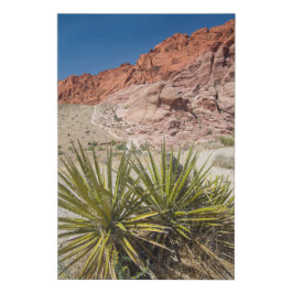 Lienzo De Imitación Planta del desierto del Rock Rojo