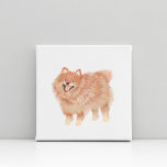 Lienzo De Imitación Retrato de perro Mascota Pomerania pintado<br><div class="desc">Retrato de Pomerania pintado por Shelby Allison</div>