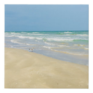 Lienzo De Imitación Sandpiper en la costa   Bella Playa