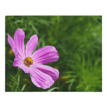 Toile fleur zen