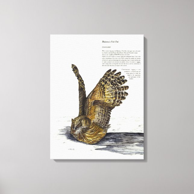 Lienzo de impresión de búho en peligro de extinció (Anverso)