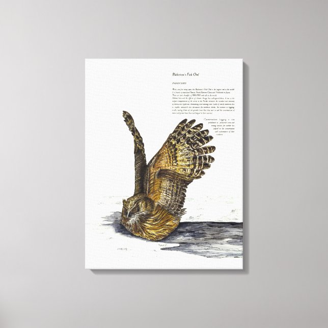 Lienzo de impresión de búho en peligro de extinció (Anverso)