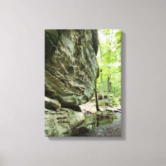 Lienzo de impresión de la naturaleza real | Decora