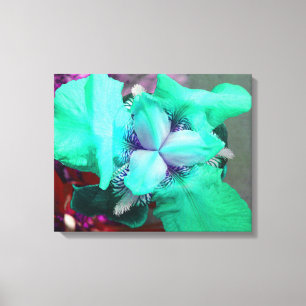 Lienzo de iris azul claro