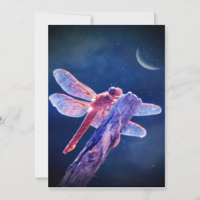 Lienzo de libélula, lienzo de boho suave y lindo d (Anverso)