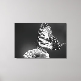 Lienzo de mariposa blanco y negro