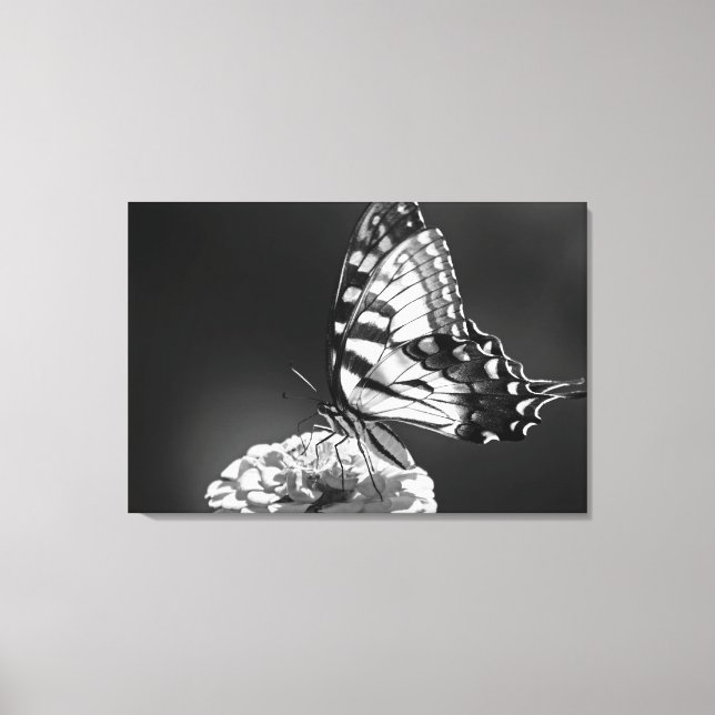 Lienzo de mariposa blanco y negro (Anverso)