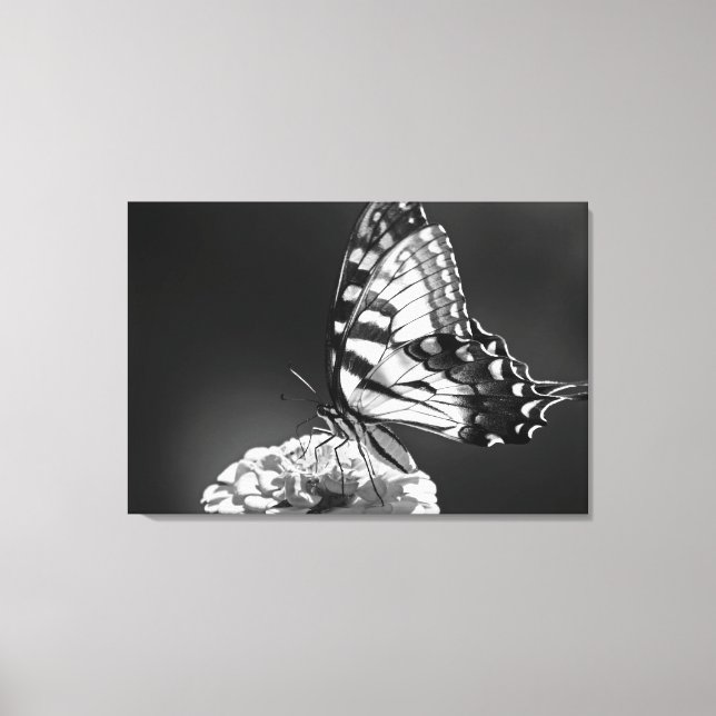 Lienzo de mariposa blanco y negro (Anverso)