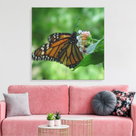 Lienzo de mariposa monarca flotante