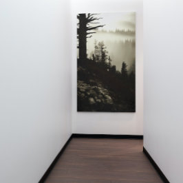 Lienzo De Montaña A Moody Mist De La Mañana Treescape