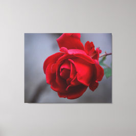 Lienzo de pared estirado