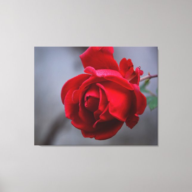 Lienzo de pared estirado (Anverso)