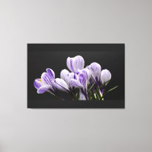 Lienzo de pared estirado