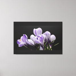 Lienzo de pared estirado