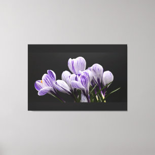 Lienzo de pared estirado