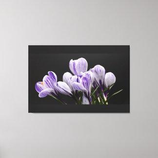 Lienzo de pared estirado